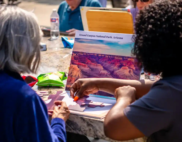 aegeliss jigsaw puzzles for dementia designed with cognitive accessibility and can be enjoyed between the person and caregiver_960x752
